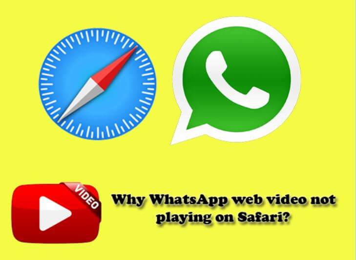 Why WhatsApp web video not playing on Safari?