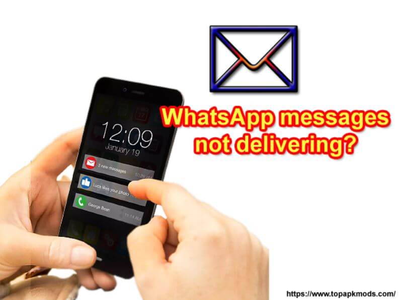 Why are my WhatsApp messages not delivering?