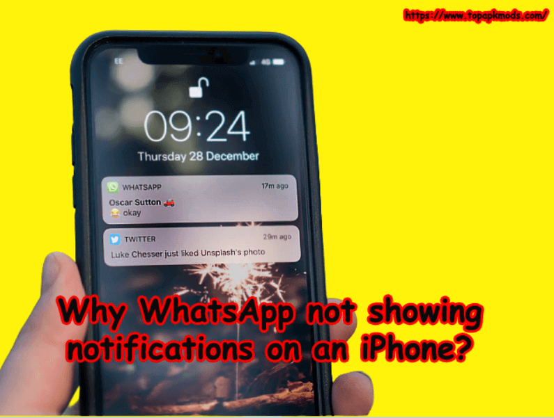 why WhatsApp not showing notifications on an iPhone?